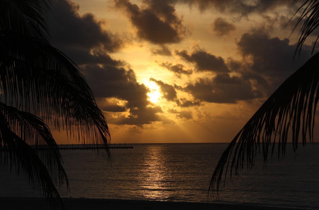 Skyline Suite Playa del Carmen Kamer foto