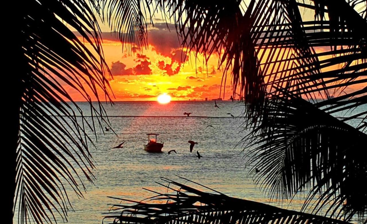 Skyline Suite Playa del Carmen Buitenkant foto